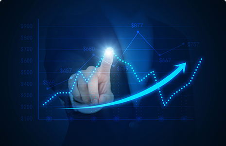 完善制度，规范流程，严格履行信息披露义务