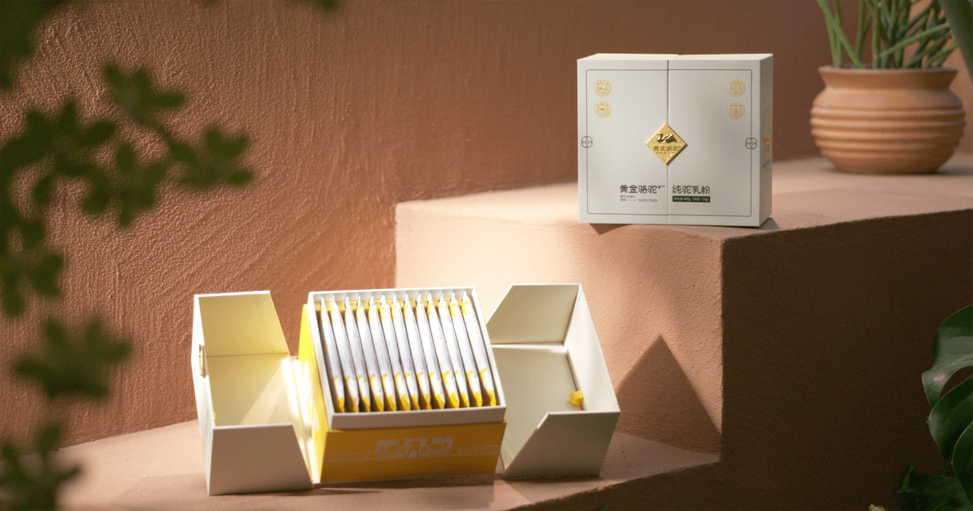 定位小众高端乳粉，QG刮刮乐推出驼奶品牌“黄金骆驼+”，角逐乳品新市。